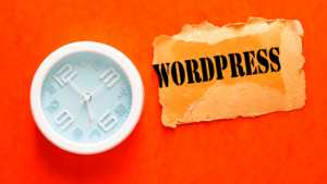 Why WordPress is More Popular Than Other CMS